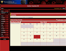 Tablet Screenshot of coyotes95.teamopolis.com